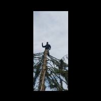 whatsapp image 2025-10-31 at 20.59.12 (6).jpeg